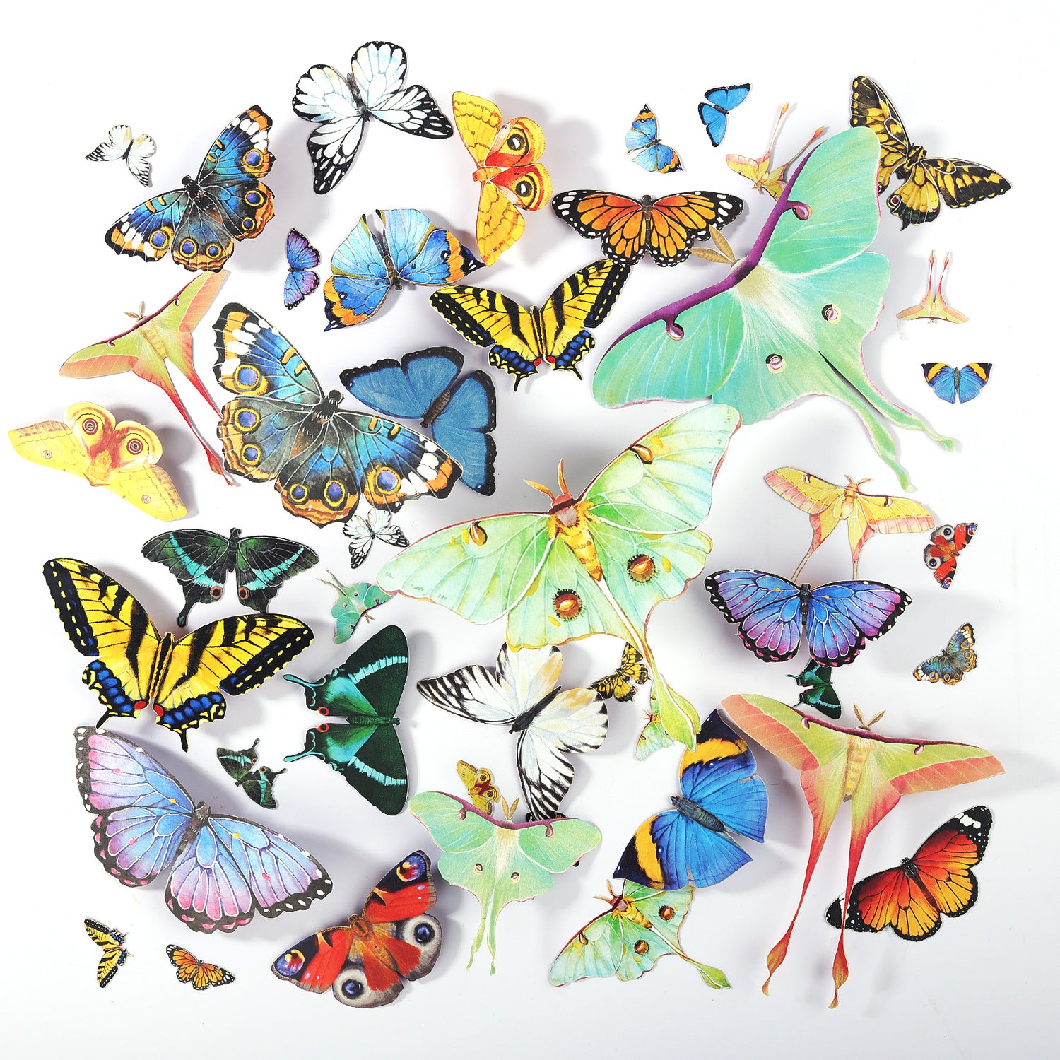 Realistic Paper Butterflies & Moths – 46 Pcs for Resin Crafts