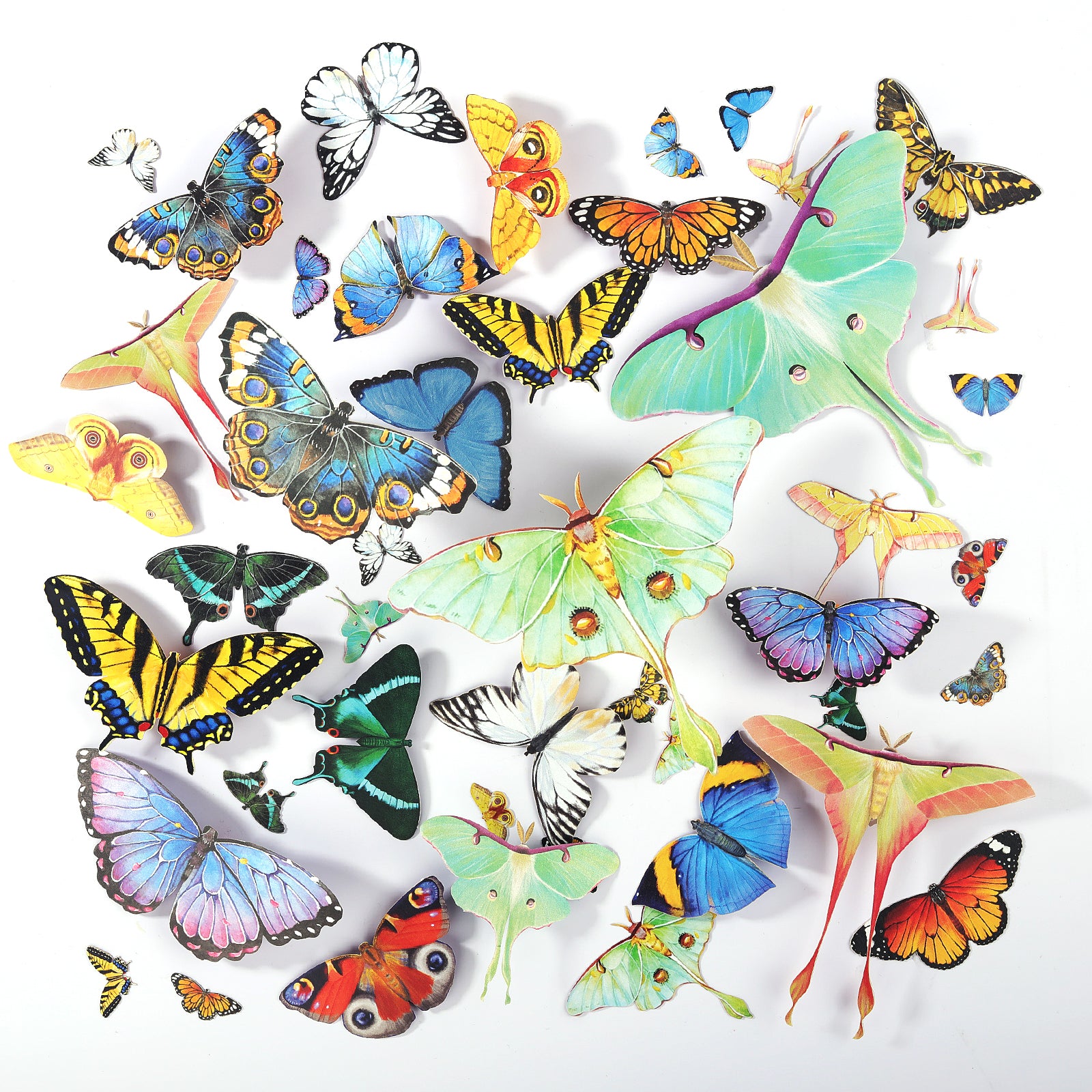 Realistic Paper Butterflies & Moths – 46 Pcs for Resin Crafts