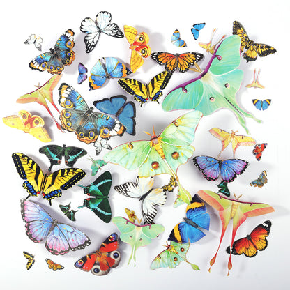 Realistic Paper Butterfly Moth - 46 Pcs