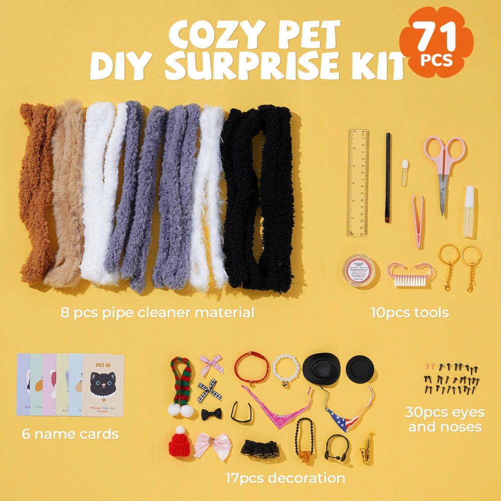 Pet Pipe Cleaner Craft Kit